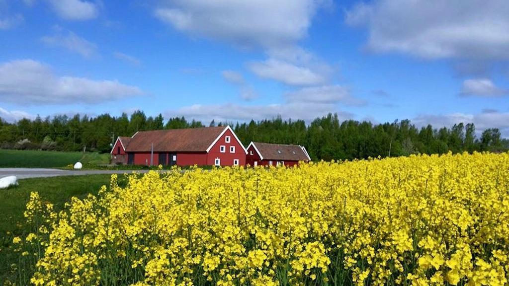 Bed and Breakfast Red Bird Farm Ystad Exteriér fotografie